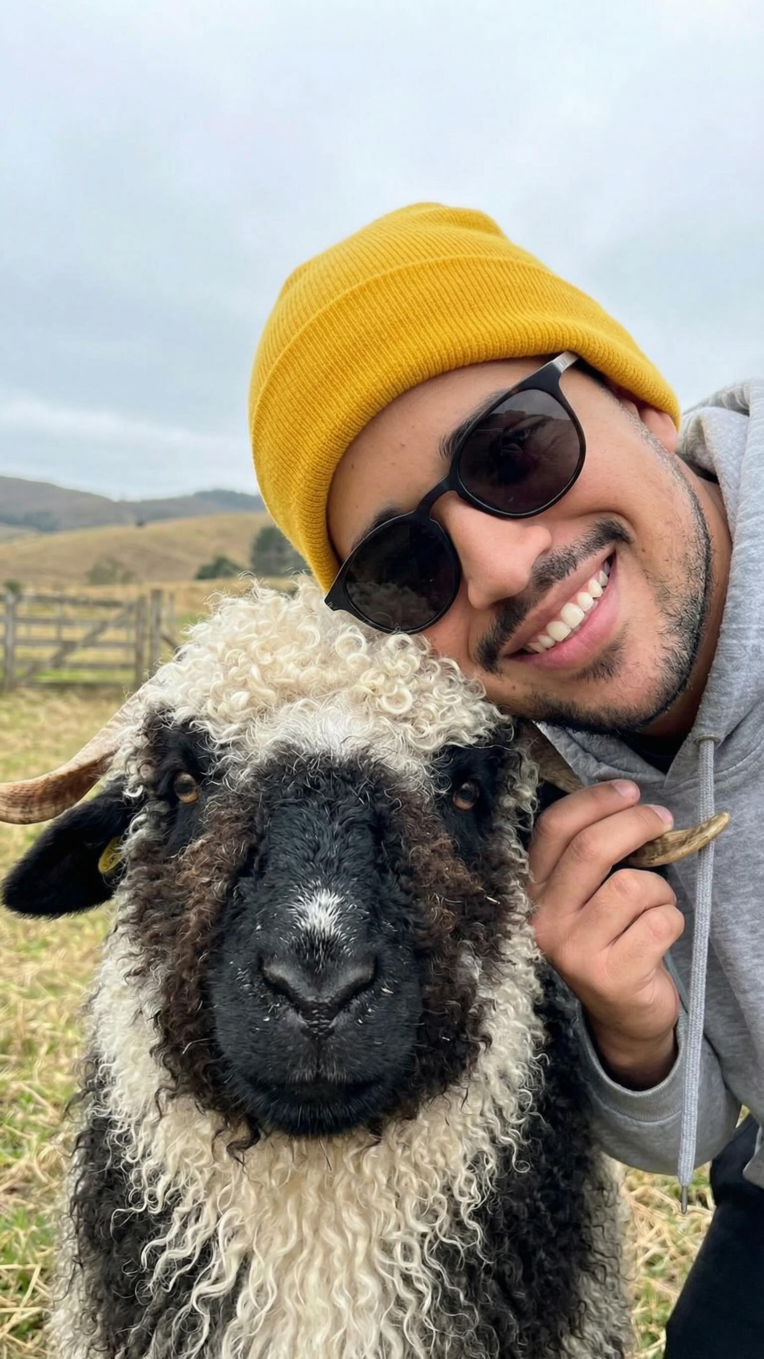 Foto de perfil de Moisés Gomes